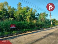 ขายที่ดิน เนื้อที่ 1 ไร่ 21 ตร.วา วังน้อย พระนครศรีอยุธยา-202511291423151764400995967.jpg