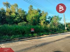 ขายที่ดิน เนื้อที่ 1 ไร่ 21 ตร.วา วังน้อย พระนครศรีอยุธยา-202511291423161764400996503.jpg