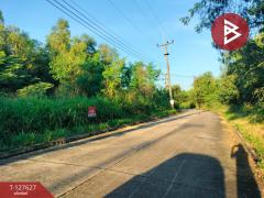 ขายที่ดิน เนื้อที่ 1 ไร่ 21 ตร.วา วังน้อย พระนครศรีอยุธยา-202511291423171764400997044.jpg