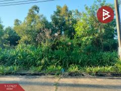 ขายที่ดิน เนื้อที่ 1 ไร่ 21 ตร.วา วังน้อย พระนครศรีอยุธยา-202511291423171764400997597.jpg