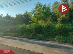 ขายที่ดิน เนื้อที่ 1 ไร่ 21 ตร.วา วังน้อย พระนครศรีอยุธยา-202511291423191764400999224.jpg