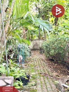 ขายอาคารพาณิชย์ 4 ชั้น ซอยด่านสำโรง สมุทรปราการ ทำเลดีแหล่งชุมชน-202511291429391764401379879.jpg