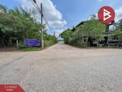 ขายที่ดินพร้อมสิ่งปลูกสร้างห้องพัก 5 ห้อง เนื้อที่ 100 ตารางวา บ้านไผ่ ขอนแก่น-202511291437341764401854636.jpg