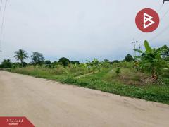 ขายที่ดิน-เนื้อที่-3-งาน-33.3-ตร.วา-บ้านบ