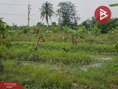 ขายที่ดิน เนื้อที่ 3 งาน 33.3 ตร.วา บ้านบึง ชลบุรี-202511291530131764405013341.jpg