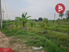 ขายที่ดิน เนื้อที่ 3 งาน 33.3 ตร.วา บ้านบึง ชลบุรี-202511291530131764405013891.jpg