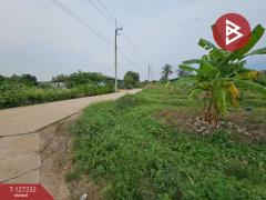 ขายที่ดิน เนื้อที่ 3 งาน 33.3 ตร.วา บ้านบึง ชลบุรี-202511291530141764405014429.jpg