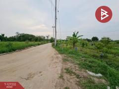 ขายที่ดิน เนื้อที่ 3 งาน 33.3 ตร.วา บ้านบึง ชลบุรี-202511291530141764405014965.jpg