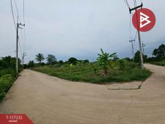 ขายที่ดิน เนื้อที่ 3 งาน 33.3 ตร.วา บ้านบึง ชลบุรี-202511291530161764405016027.jpg