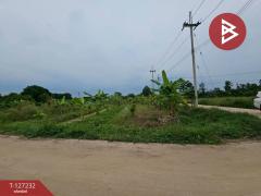 ขายที่ดิน เนื้อที่ 3 งาน 33.3 ตร.วา บ้านบึง ชลบุรี-202511291530171764405017091.jpg