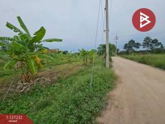 ขายที่ดิน เนื้อที่ 3 งาน 33.3 ตร.วา บ้านบึง ชลบุรี-202511291530171764405017621.jpg