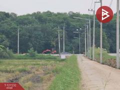 ขายที่ดิน เนื้อที่ 3 งาน 33.3 ตร.วา บ้านบึง ชลบุรี-202511291530181764405018156.jpg