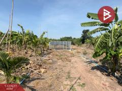 ขายที่ดินพร้อมสิ่งปลูกสร้าง เนื้อที่ 10 ไร่ 1 งาน 49 ตร.วา จอมบึง ราชบุรี-202511291557021764406622527.jpg