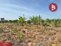 ขายที่ดินพร้อมสิ่งปลูกสร้าง เนื้อที่ 10 ไร่ 1 งาน 49 ตร.วา จอมบึง ราชบุรี-202511291557041764406624343.jpg