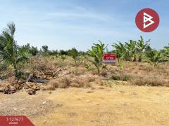 ขายที่ดินพร้อมสิ่งปลูกสร้าง เนื้อที่ 10 ไร่ 1 งาน 49 ตร.วา จอมบึง ราชบุรี-202511291557061764406626840.jpg