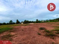  ขายที่ดินด่วน เนื้อที่ 4 ไร่ 3 งาน 49 ตร.วา ลาดใหญ่ สมุทรสงคราม-202511291600471764406847193.jpg