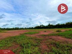  ขายที่ดินด่วน เนื้อที่ 4 ไร่ 3 งาน 49 ตร.วา ลาดใหญ่ สมุทรสงคราม-202511291600471764406847785.jpg