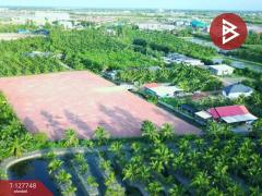  ขายที่ดินด่วน เนื้อที่ 4 ไร่ 3 งาน 49 ตร.วา ลาดใหญ่ สมุทรสงคราม-202511291600481764406848423.jpg