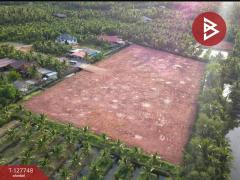  ขายที่ดินด่วน เนื้อที่ 4 ไร่ 3 งาน 49 ตร.วา ลาดใหญ่ สมุทรสงคราม-202511291600491764406849679.jpg