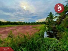  ขายที่ดินด่วน เนื้อที่ 4 ไร่ 3 งาน 49 ตร.วา ลาดใหญ่ สมุทรสงคราม-202511291600501764406850344.jpg