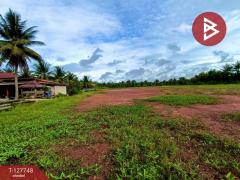  ขายที่ดินด่วน เนื้อที่ 4 ไร่ 3 งาน 49 ตร.วา ลาดใหญ่ สมุทรสงคราม-202511291600501764406850903.jpg