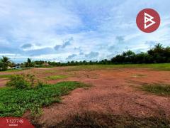  ขายที่ดินด่วน เนื้อที่ 4 ไร่ 3 งาน 49 ตร.วา ลาดใหญ่ สมุทรสงคราม-202511291600511764406851478.jpg