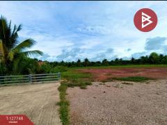  ขายที่ดินด่วน เนื้อที่ 4 ไร่ 3 งาน 49 ตร.วา ลาดใหญ่ สมุทรสงคราม-202511291600521764406852034.jpg