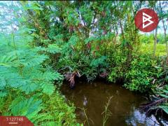  ขายที่ดินด่วน เนื้อที่ 4 ไร่ 3 งาน 49 ตร.วา ลาดใหญ่ สมุทรสงคราม-202511291600521764406852602.jpg