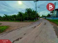  ขายที่ดินด่วน เนื้อที่ 4 ไร่ 3 งาน 49 ตร.วา ลาดใหญ่ สมุทรสงคราม-202511291600531764406853217.jpg