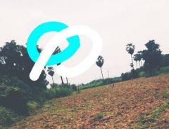 หาซื้อทรัพย์คุ้มใช้ประโยชน์  ขายที่สวยติดแม่น้ำน่าน ชุมแสง  จ.นครสวรรค์ 300000 บาท.วิวแม่น้ำเกษตรดีงามสวยสมบูรณ์