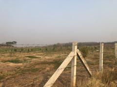 หาซื้อทรัพย์คุ้มใช้ประโยชน์ ธรรมชาติเนินเขา ที่ดินโฉนดแบ่งขาย หล่มเก่า เพชรบูรณ์ ใกล้ภูทับเบิก โทร 0968821857