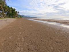 หาซื้อทรัพย์คุ้มใช้ประโยชน์ ขายที่ดินริมหาดสะพลีทรายขาวน้ำใสคราม สวยงามวิวทะเลธรรมชาติสุดสุด ปะทิวใกล้หาดสวยทุ่งวัวแล่น  