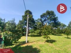 ขายที่ดินสวนทุเรียน เนื้อที่ 3 ไร่ 2 งาน 68 ตารางวา ท่าใหม่ จันทบุรี