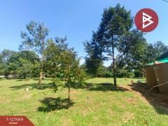 ขายที่ดินสวนทุเรียน เนื้อที่ 3 ไร่ 2 งาน 68 ตารางวา ท่าใหม่ จันทบุรี-202511300333561764448436125.jpg