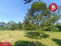 ขายที่ดินสวนทุเรียน เนื้อที่ 3 ไร่ 2 งาน 68 ตารางวา ท่าใหม่ จันทบุรี-202511300333561764448436708.jpg