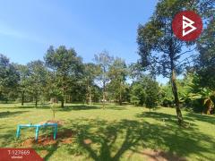 ขายที่ดินสวนทุเรียน เนื้อที่ 3 ไร่ 2 งาน 68 ตารางวา ท่าใหม่ จันทบุรี-202511300333571764448437272.jpg