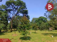 ขายที่ดินสวนทุเรียน เนื้อที่ 3 ไร่ 2 งาน 68 ตารางวา ท่าใหม่ จันทบุรี-202511300333581764448438419.jpg