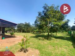 ขายที่ดินสวนทุเรียน เนื้อที่ 3 ไร่ 2 งาน 68 ตารางวา ท่าใหม่ จันทบุรี-202511300333591764448439559.jpg