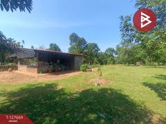 ขายที่ดินสวนทุเรียน เนื้อที่ 3 ไร่ 2 งาน 68 ตารางวา ท่าใหม่ จันทบุรี-202511300334001764448440124.jpg