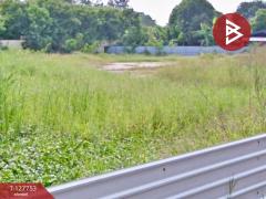 ขายที่ดินเปล่า เนื้อที่ 1 ไร่ 1 งาน 3 ตารางวา นครชัยศรี นครปฐม-202511300912531764468773918.jpg