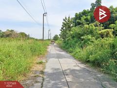 ขายที่ดิน เนื้อที่ 2 งาน หนองจอก กรุงเทพมหานคร-202511300946031764470763973.jpg