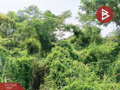 ขายที่ดิน เนื้อที่ 2 งาน หนองจอก กรุงเทพมหานคร-202511300946041764470764544.jpg