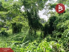 ขายที่ดิน เนื้อที่ 2 งาน หนองจอก กรุงเทพมหานคร-202511300946051764470765704.jpg