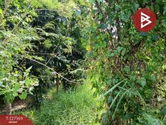 ขายที่ดิน เนื้อที่ 2 งาน หนองจอก กรุงเทพมหานคร-202511300946061764470766286.jpg