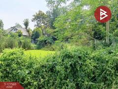 ขายที่ดิน เนื้อที่ 2 งาน หนองจอก กรุงเทพมหานคร-202511300946071764470767552.jpg