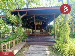 ขายที่ดินพร้อมสิ่งปลูกสร้าง เนื้อที่ 4 ไร่ 3 งาน 78 ตร.วา ดอนตูม นครปฐม-202511301101241764475284991.jpg