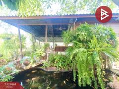 ขายที่ดินพร้อมสิ่งปลูกสร้าง เนื้อที่ 4 ไร่ 3 งาน 78 ตร.วา ดอนตูม นครปฐม-202511301101251764475285615.jpg