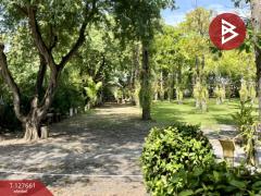 ขายที่ดินพร้อมสิ่งปลูกสร้าง เนื้อที่ 4 ไร่ 3 งาน 78 ตร.วา ดอนตูม นครปฐม-202511301101281764475288707.jpg