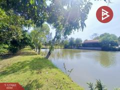 ขายที่ดินพร้อมสิ่งปลูกสร้าง เนื้อที่ 4 ไร่ 3 งาน 78 ตร.วา ดอนตูม นครปฐม-202511301101311764475291103.jpg