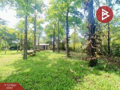 ขายที่ดินพร้อมสิ่งปลูกสร้าง เนื้อที่ 4 ไร่ 3 งาน 78 ตร.วา ดอนตูม นครปฐม-202511301101311764475291693.jpg